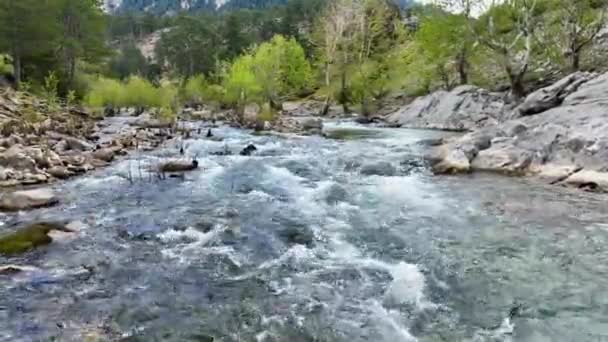 Горная Река Горах Турция Аланья — стоковое видео