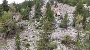 Dağların yükseklerindeki dağ manzarası