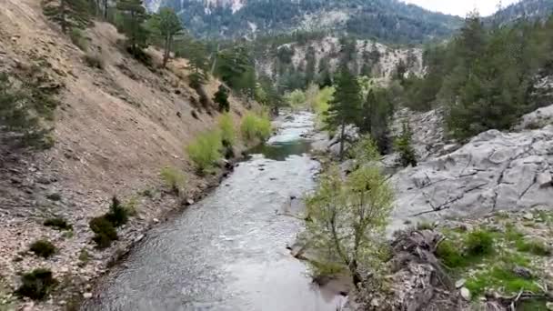 渓流の質感トルコ Alanya — ストック動画