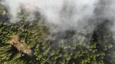 Dağların bulutlu manzarası