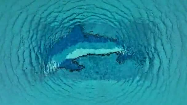 Hombre Corre Beachawesome Textura Azul Del Mar — Vídeos de Stock