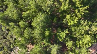Bir adam kumsal mavisi deniz dokusunda koşar.