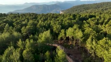 Bir adam kumsal mavisi deniz dokusunda koşar.