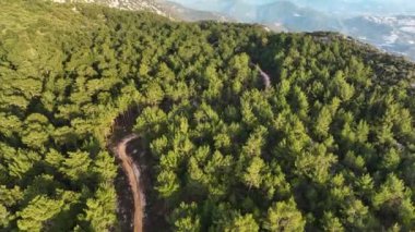 Bir adam kumsal mavisi deniz dokusunda koşar.