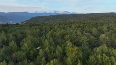Bir adam kumsal mavisi deniz dokusunda koşar.