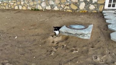beautiful beach in Turkey Alanya