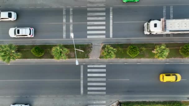 Straßenverkehr Luft Ansicht Vertikales Video — Stockvideo