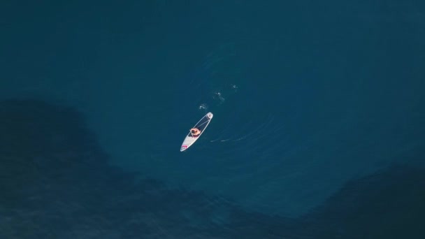 海の上のサフェラに乗って航海する男たち — ストック動画