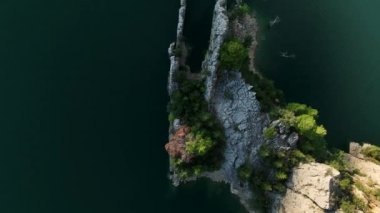 Büyük bir orman yangınından sonra Yeşil Kanyon manzarası