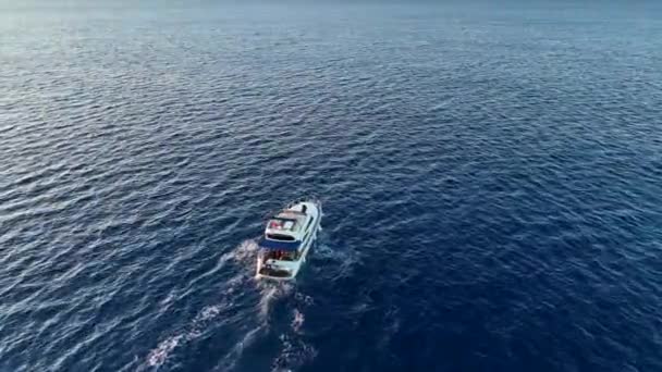 Рибалки Риби Морі — стокове відео