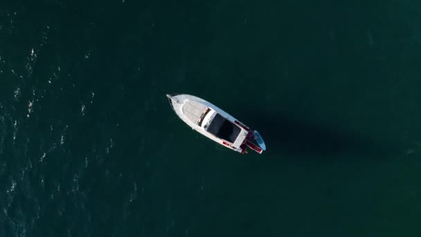 Aerial Drone Śledzenia Top Wideo Jachtu — Wideo stockowe
