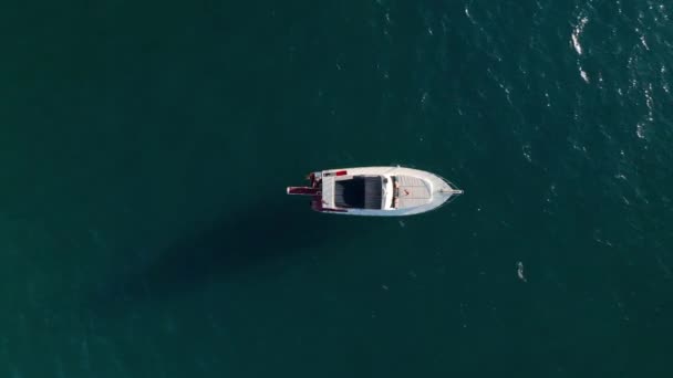 Aerial Drone Tracking Top Video Yacht — Stock Video