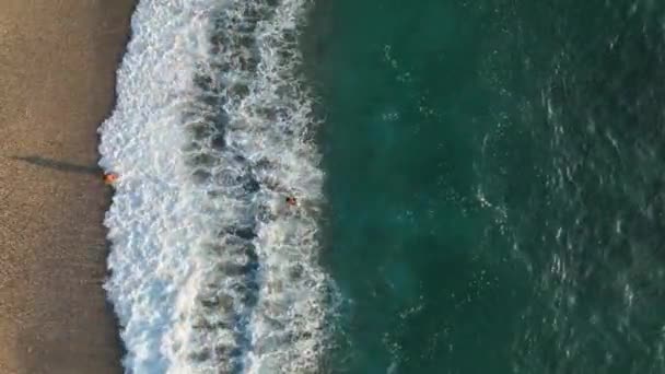 Texture Juteuse Filmée Par Drone Soir — Video