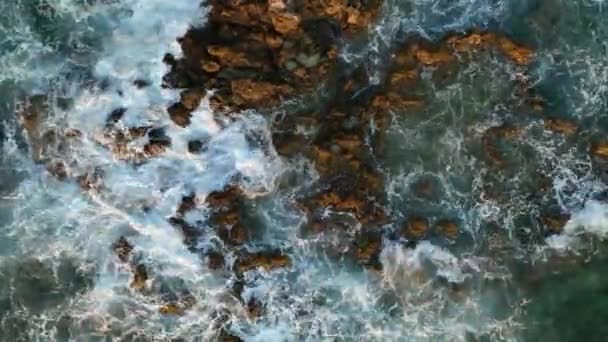 高质量的海底土耳其Alanya — 图库视频影像