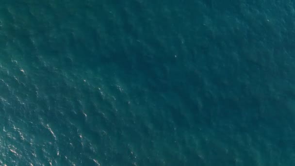 Wysokiej Jakości Tło Morskie Turcja Alanya — Wideo stockowe