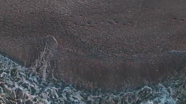 Textura Suculenta Filmada Por Drone Noite — Vídeo de Stock