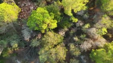 Alanya şehrindeki kırmızı kale. Hava manzarası 4 K Yaz Saati.
