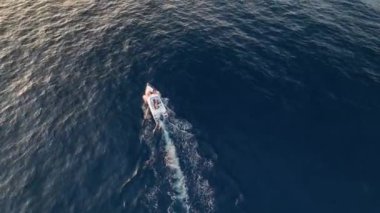 Yat üstünde tekne gezisi. Harika tatiller. Hava manzarası 4 bin dolar.