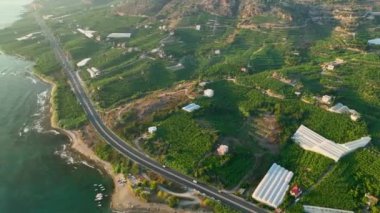 Akdeniz 'in en büyük tarım alanı Alanya kentidir..