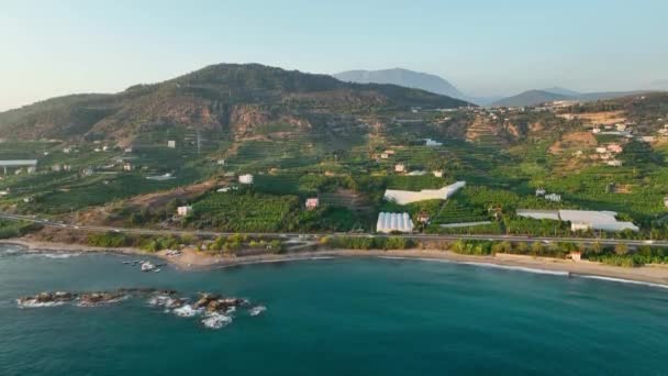 Zona Più Agricola Del Mediterraneo Trova Nella Città Alanya — Video Stock
