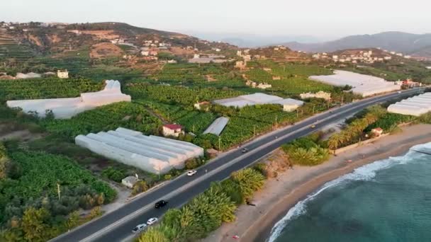 Das Landwirtschaftlichste Gebiet Mittelmeer Befindet Sich Der Stadt Alanya — Stockvideo