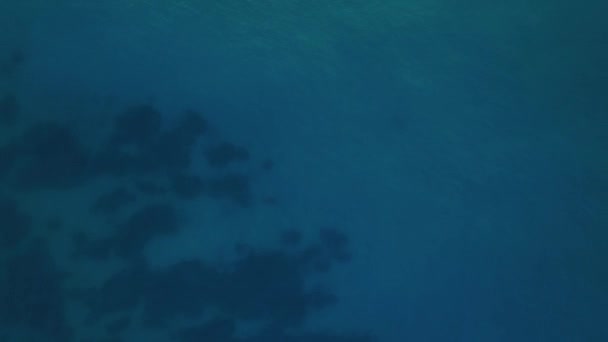 Denizin Gök Mavisi — Stok video