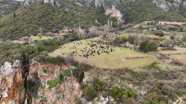 Bir dağ nehrinde şelale