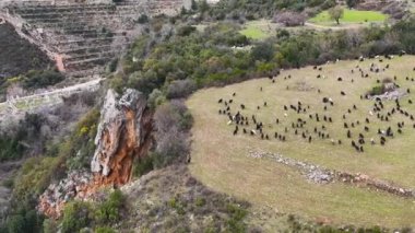 Bir dağ nehrinde şelale