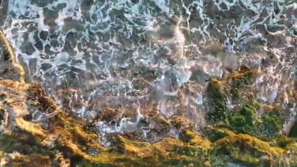 岩石海滩的结构 — 图库视频影像