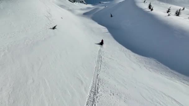 Snowmobile High Mountains — Stock Video