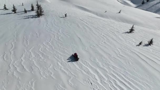 Sneeuwscooter Hoog Bergen — Stockvideo