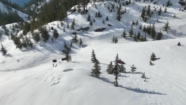 Sneeuwscooter Hoog Bergen — Stockvideo