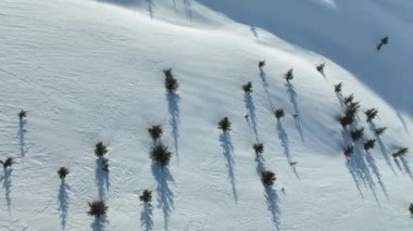 Dağlardan bir snowboardcu indi.