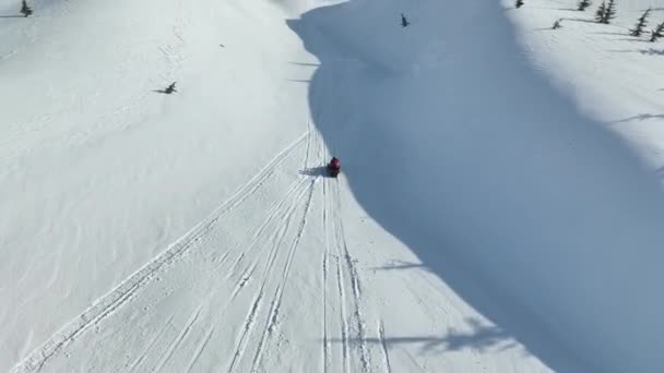 Snowmobile Vysoko Horách — Stock video