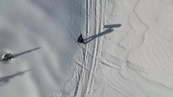 Uno Snowboarder Scende Dalle Montagne — Video Stock