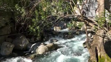 Bir dağ nehrinde şelale