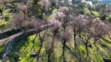 Türkiye'de alanya havadan görünümü