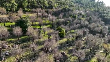 Türkiye'de alanya havadan görünümü