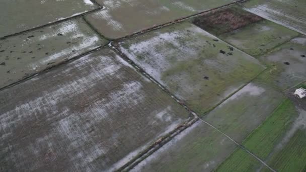 Çiftlik Arkaplanı Hava Görüntüsü — Stok video