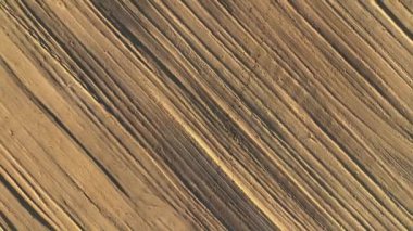 Çiftlik Arkaplanı Hava Görüntüsü 4K