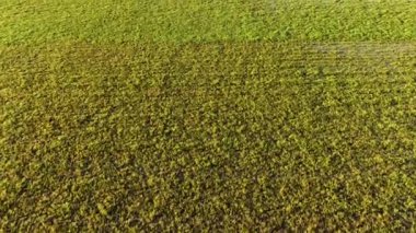 Çiftlik Arkaplanı Hava Görüntüsü 4K