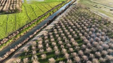 Çiftlik Arkaplanı Hava Görüntüsü 4K