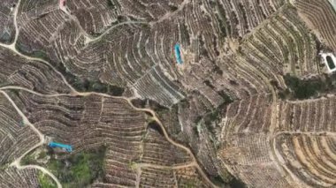 Çiftlik bölgesi hava görüntüsü 4 K