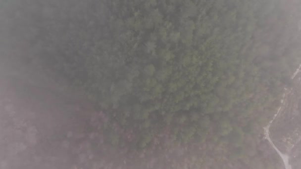 农场地区航空视图4K — 图库视频影像