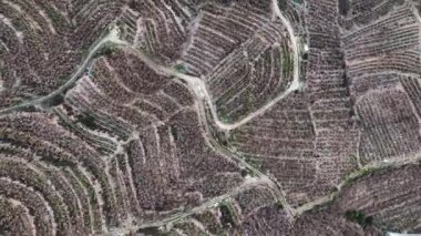 Çiftlik bölgesi hava görüntüsü 4 K