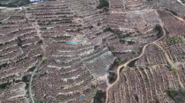 Çiftlik bölgesi hava görüntüsü 4 K