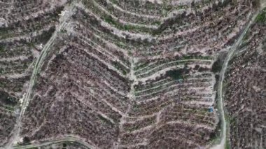 Çiftlik bölgesi hava görüntüsü 4 K