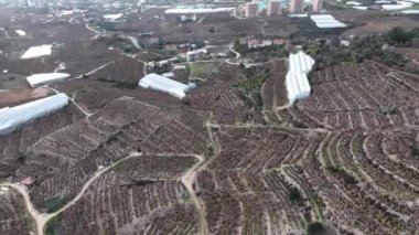 Çiftlik bölgesi hava görüntüsü 4 K