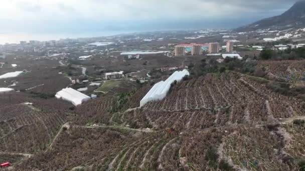 Uitzicht Vanuit Lucht Het Landbouwbedrijf — Stockvideo