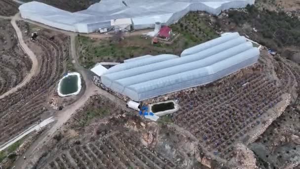 Çiftlik Bölgesi Hava Görüntüsü — Stok video